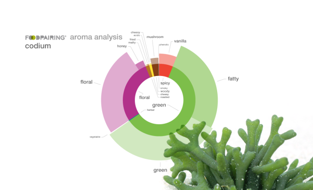 Κόδιο, Codium, foodpairing