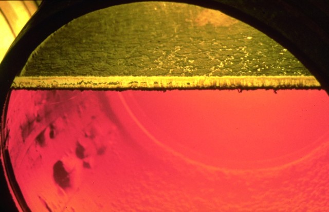 Κίτρινο κρασί, μύκητας, flor, vin jaune