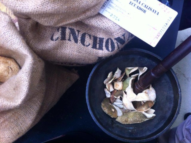 Απεριτίβο, Aperitivi&Co Experience, Roots