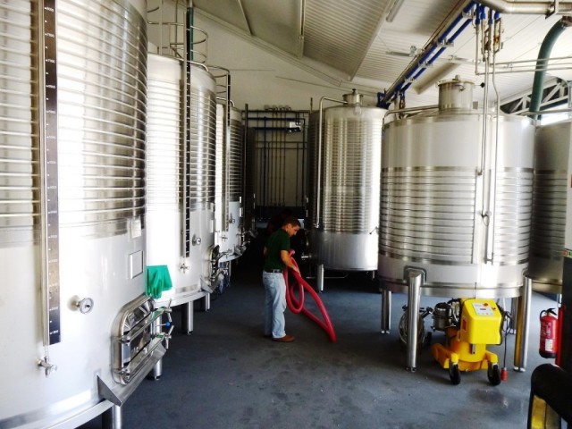 Μαδέρα, κρασί, Madeira