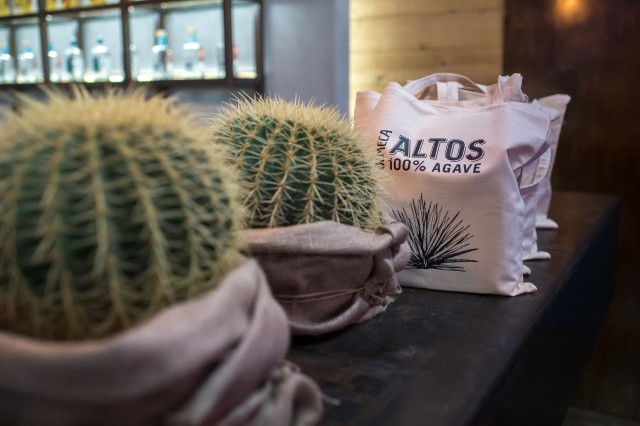 Tahona Society, Olmeca Altos