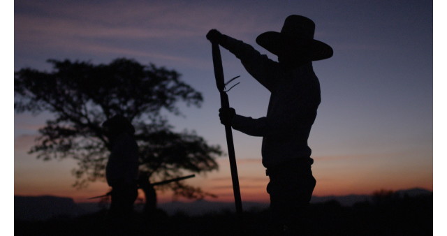 Jose Cuervo και Ford, αγαύη, Jose Cuervo, Ford