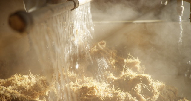 Jose Cuervo και Ford, αγαύη, Jose Cuervo, Ford