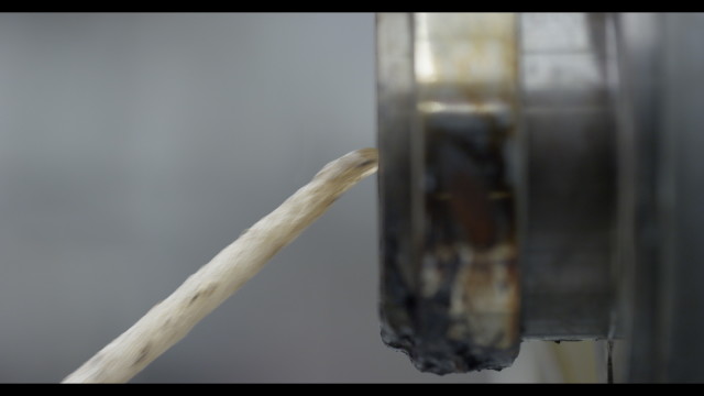 Jose Cuervo και Ford, αγαύη, Jose Cuervo, Ford