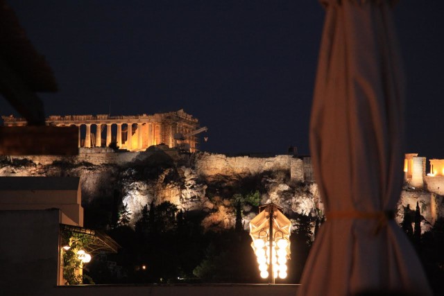 Καφέ του Μουσείου Ισλαμικής Τέχνης, Μουσείο Ισλαμικής Τέχνης, Imagine a palm tree