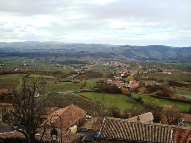 Μποζολέ Νουβό