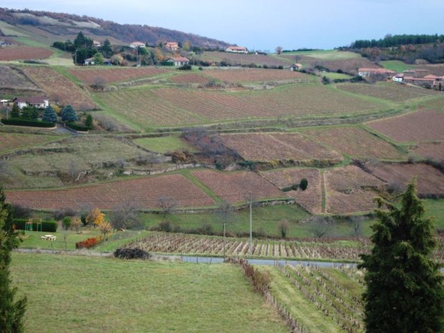 Μποζολέ Νουβό