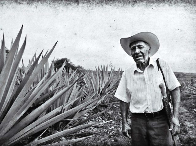Nuestra Soledad, mezcal, μεσκάλ