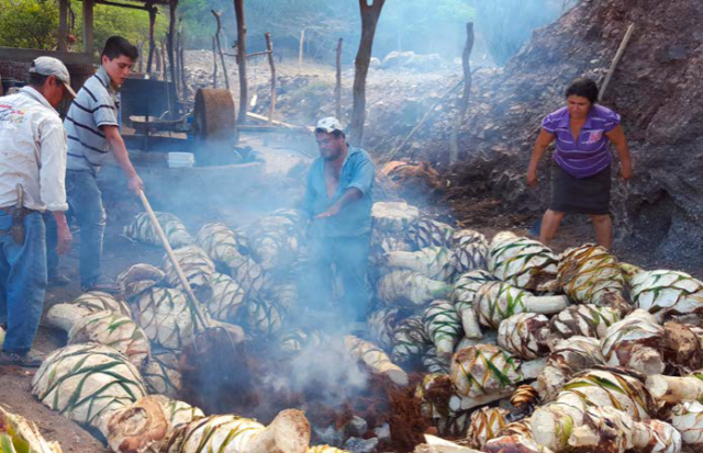 Nuestra Soledad, mezcal, μεσκάλ