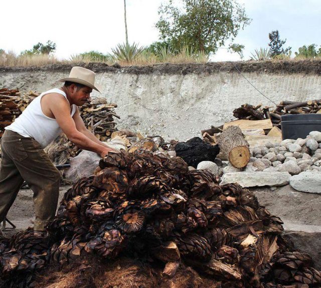 Nuestra Soledad, mezcal, μεσκάλ