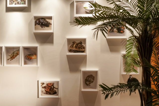 τέχνη, Χαρλαύτη