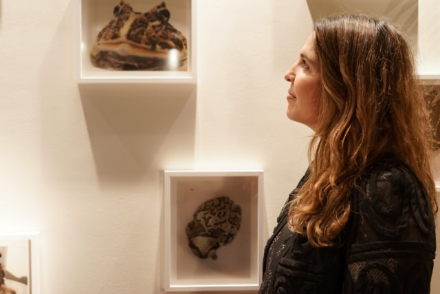 τέχνη, Χαρλαύτη