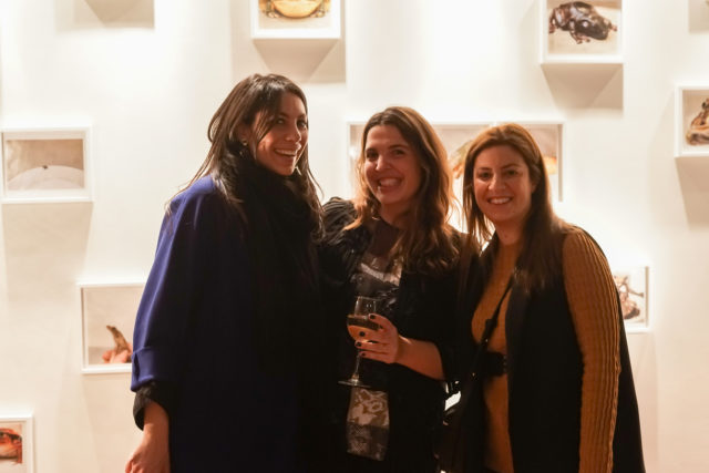 τέχνη, Χαρλαύτη