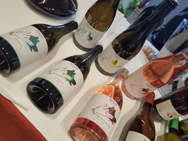 δοκιμάζοντας, οινοποιείο Λύκου