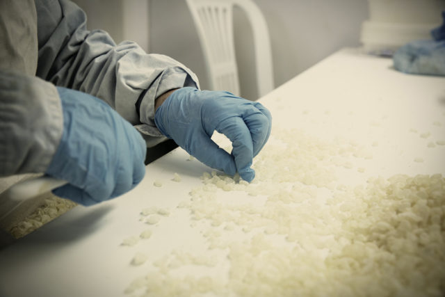 Μαστίχα Χίου, Χίος