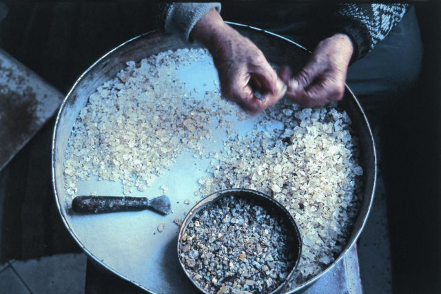 Μαστίχα Χίου, Χίος