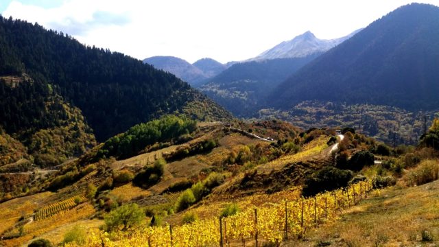 Μέτσοβο, Κατώγι Αβέρωφ
