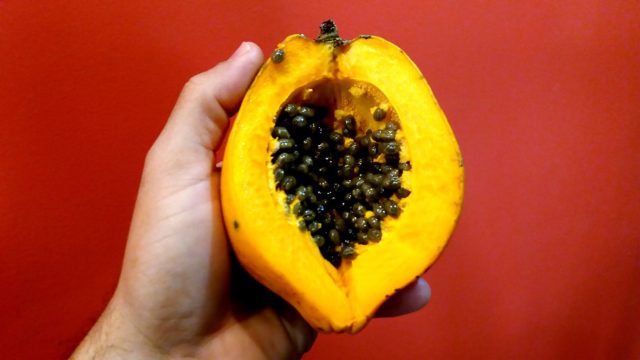 παπάγια, γευσιγνωσία