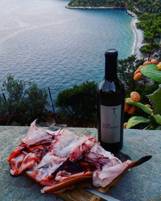 κρασιά, πλάσματα της θάλασσας