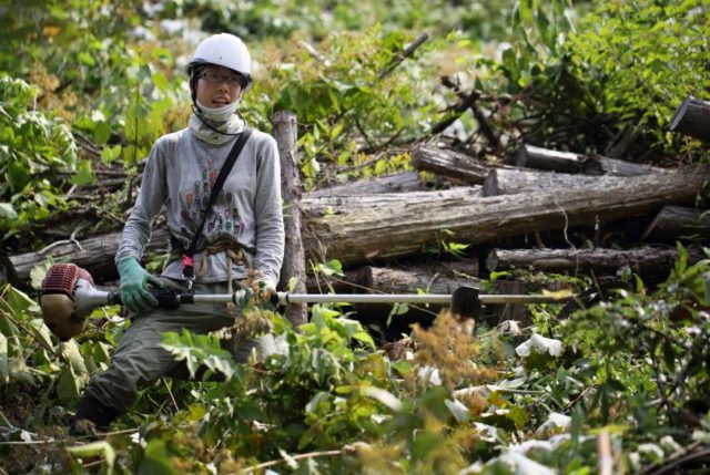 Αλκοόλ από ξύλο