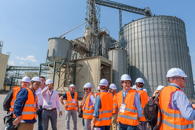 rakia, spirits selection