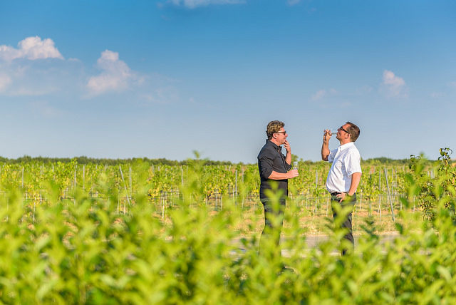 rakia, spirits selection