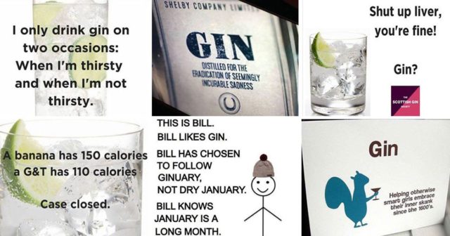 scottish gin society