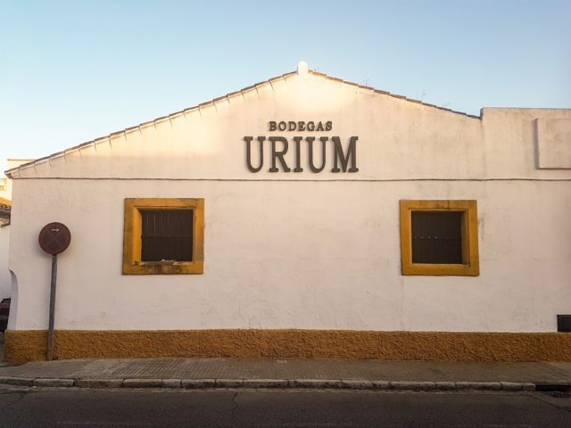 Δεσμεύσεις για το 2019