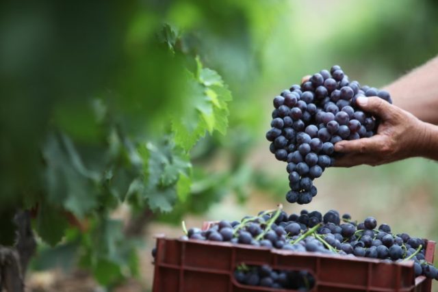 γεωγραφικές ενδείξεις