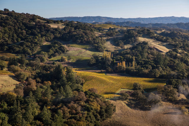 rodney strong, Καλιφόρνια