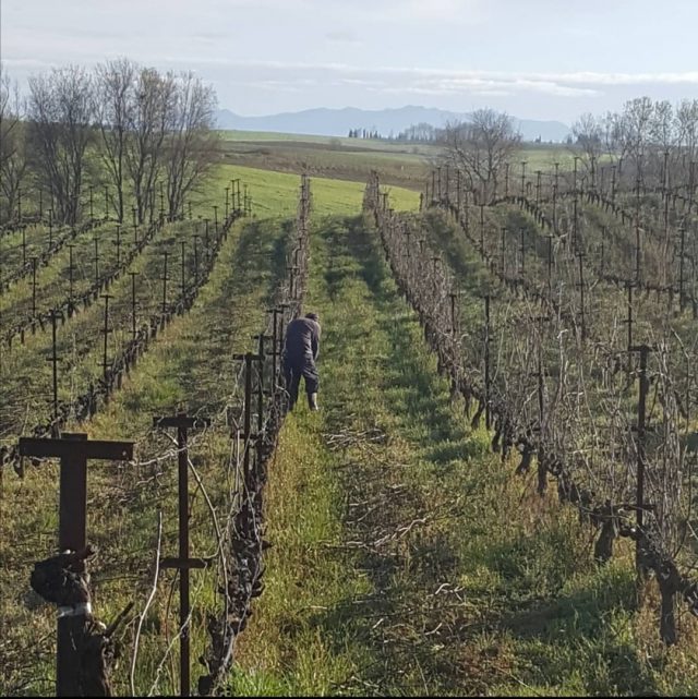 σπάνιες ελληνικές ποικιλίες