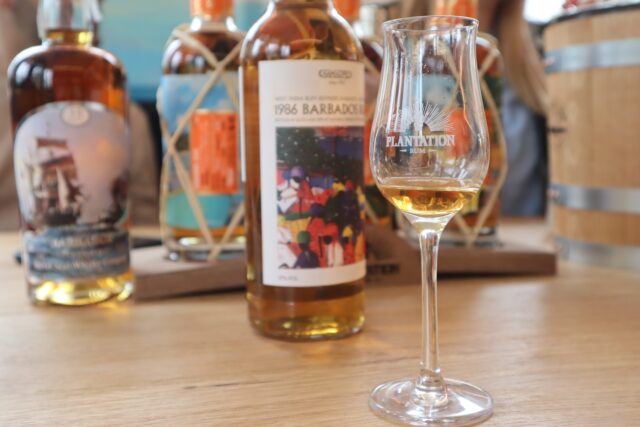 Plantantion Extrême V