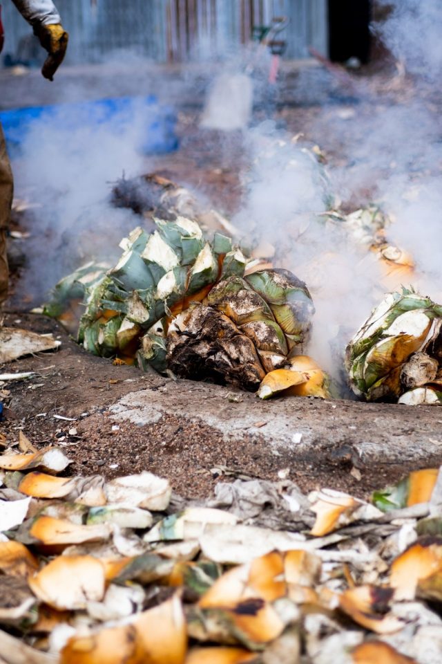 Jano Spirits, Καλιφορνέζικα αποστάγματα αγαύης