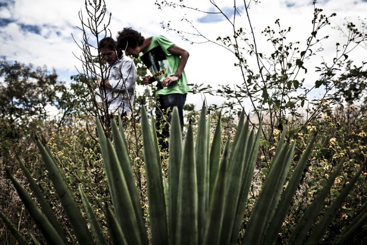 Photo by http://www.rsvlts.com/2013/03/28/beverage-of-the-banditos-the-journey-of-mezcal-from-mexico-to-guatemala-to-new-york/