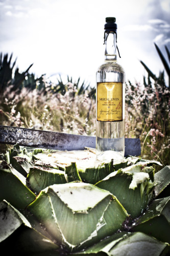 Photo by http://www.rsvlts.com/2013/03/28/beverage-of-the-banditos-the-journey-of-mezcal-from-mexico-to-guatemala-to-new-york/
