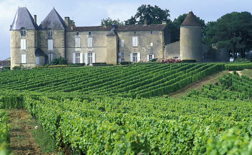 Château Yquem, Sauternes. Vignoble de Bordeaux, Gironde.