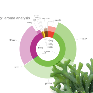 Κόδιο, Codium, foodpairing