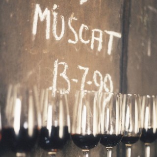 muscat, rutherglen, australia