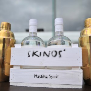Skinos MCC 2016