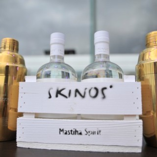 Skinos MCC 2016
