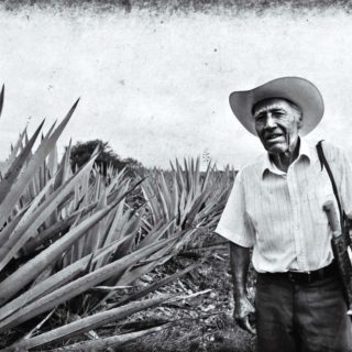 Nuestra Soledad, mezcal, μεσκάλ