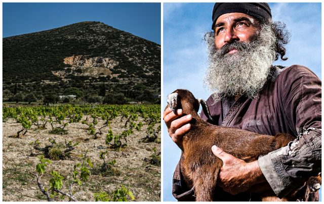 Paros Farming Community