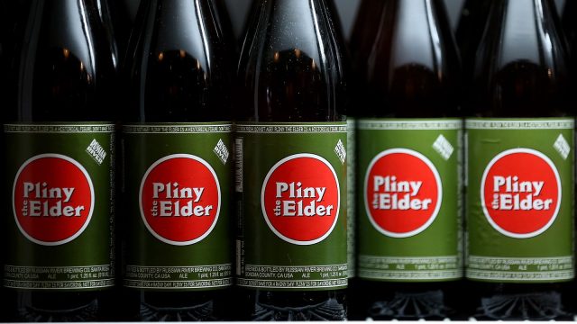 Pliny the Elder