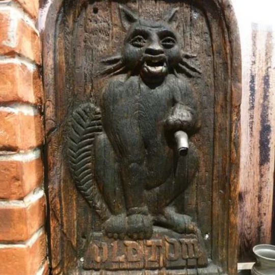 Bradstreet cat