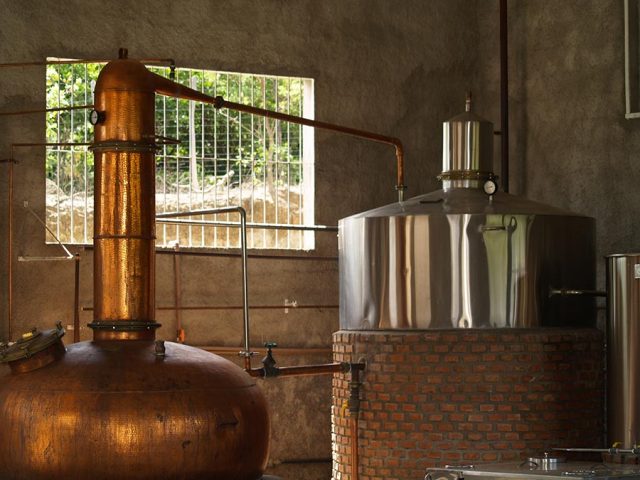 cachaça