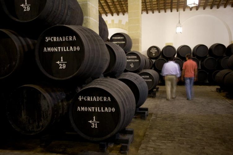Bodegas Tradicion