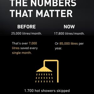 διαχείριση ροής, vortex flush